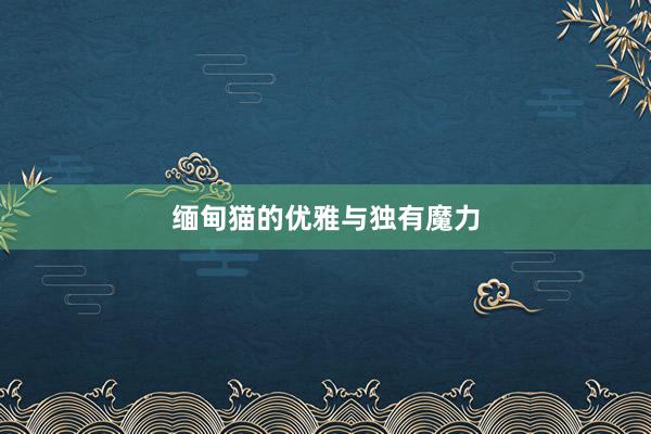 缅甸猫的优雅与独有魔力